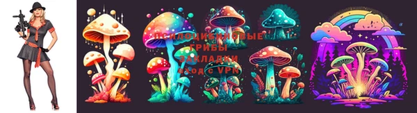 эйфоретик Верхний Тагил