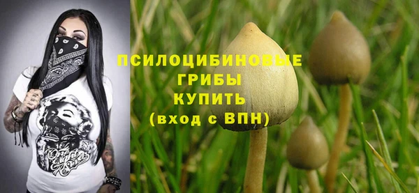 ECSTASY Россошь