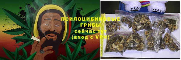 первитин Белокуриха